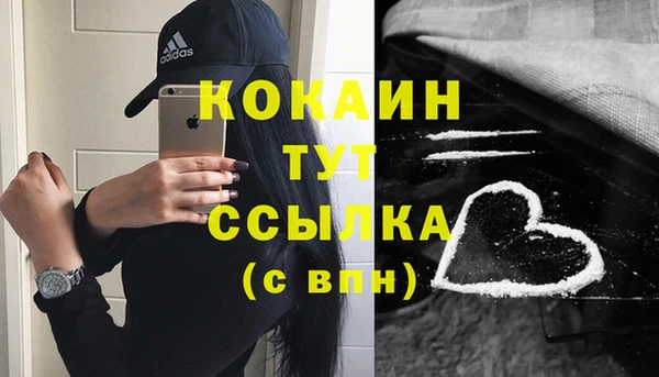 молекула духа Валдай