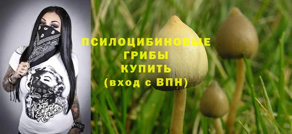 шишки Березники