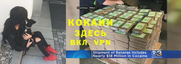 шишки Березники