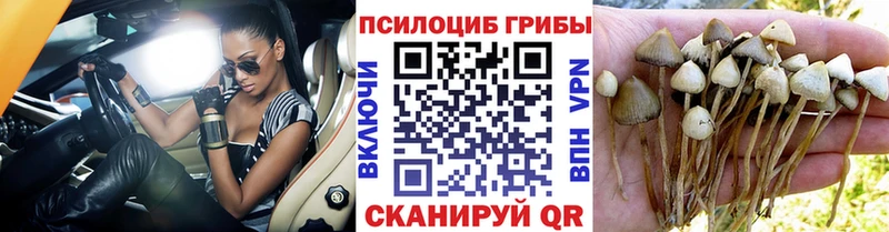 Псилоцибиновые грибы Magic Shrooms  Белая Холуница 